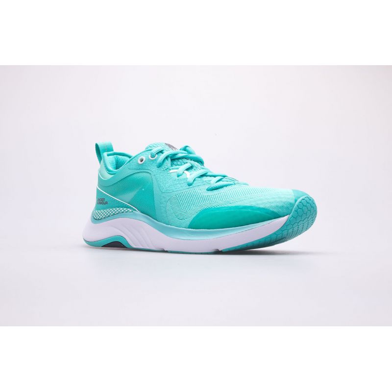 Under Armor Shoes W HOVR Omnia 3025054-300