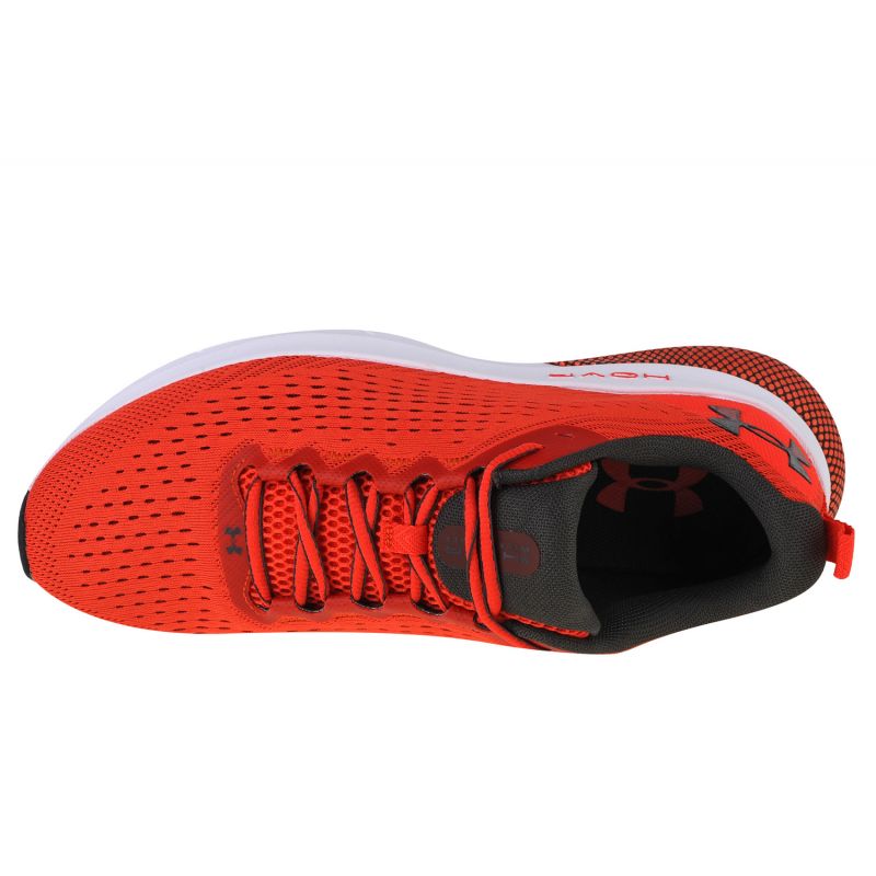 Running shoes Under Armor Hovr Turbulence M 3025419-601