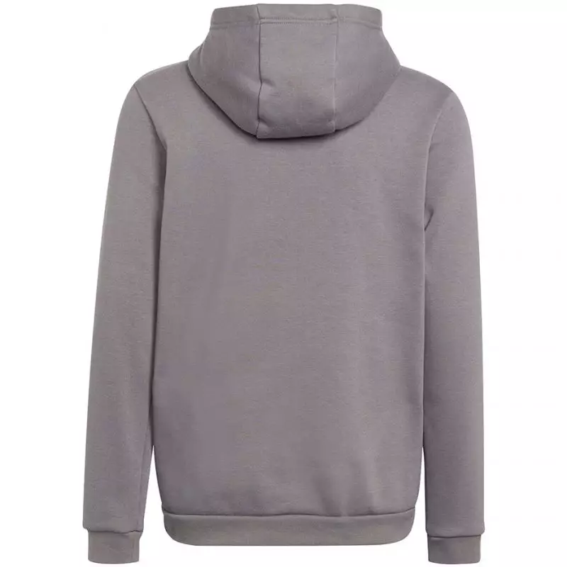 Sweatshirt adidas Entrada 22 Hoody Jr H57515