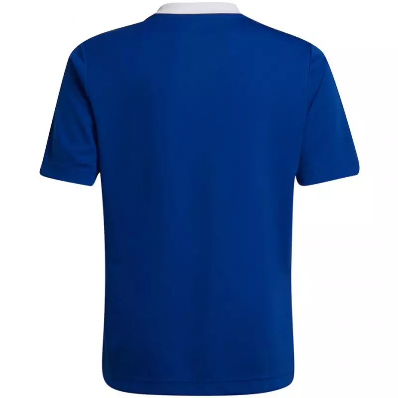 T-shirt adidas Entrada 22 Jsy Jr HG3948