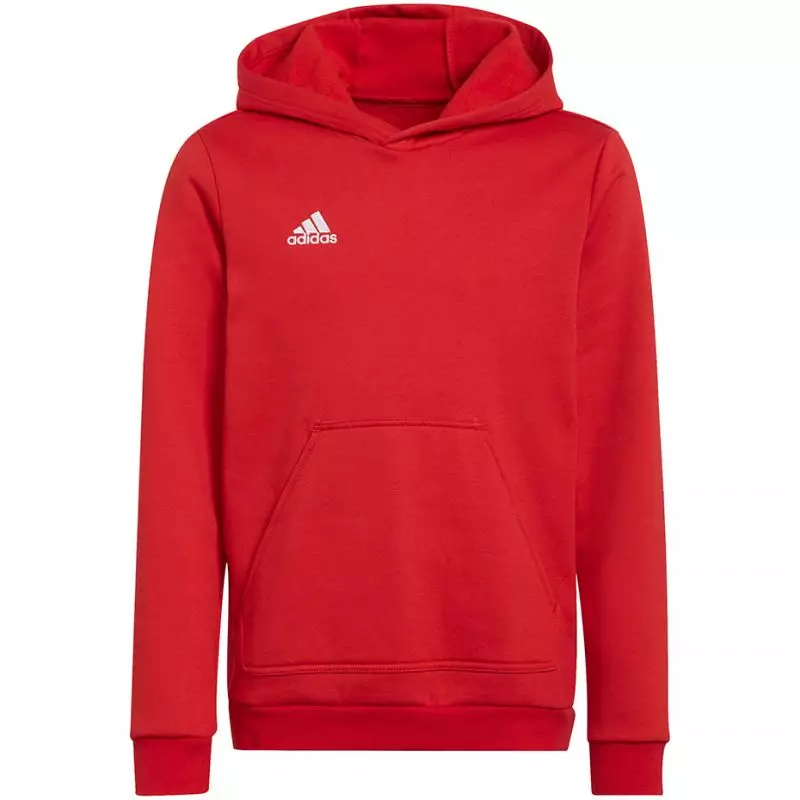 Sweatshirt adidas Entrada 22 Hoody Jr H57566