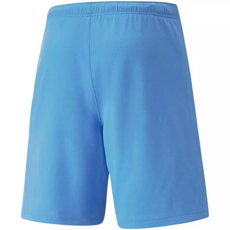 Shorts Puma teamRise Short Team M 704942 18