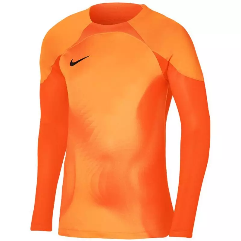 Nike Gardien IV Goalkeeper JSY M DH7967 819 goalkeeper jersey