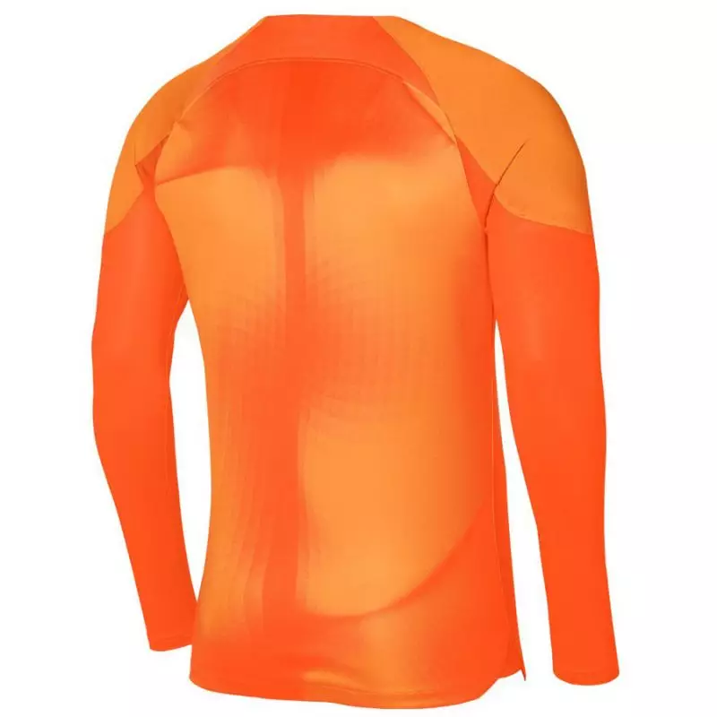 Nike Gardien IV Goalkeeper JSY M DH7967 819 goalkeeper jersey