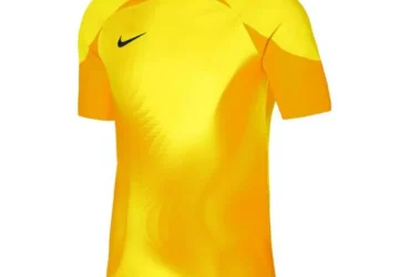 Nike Dri-FIT ADV Gardien 4 M DH7760-719 goalkeeper jersey