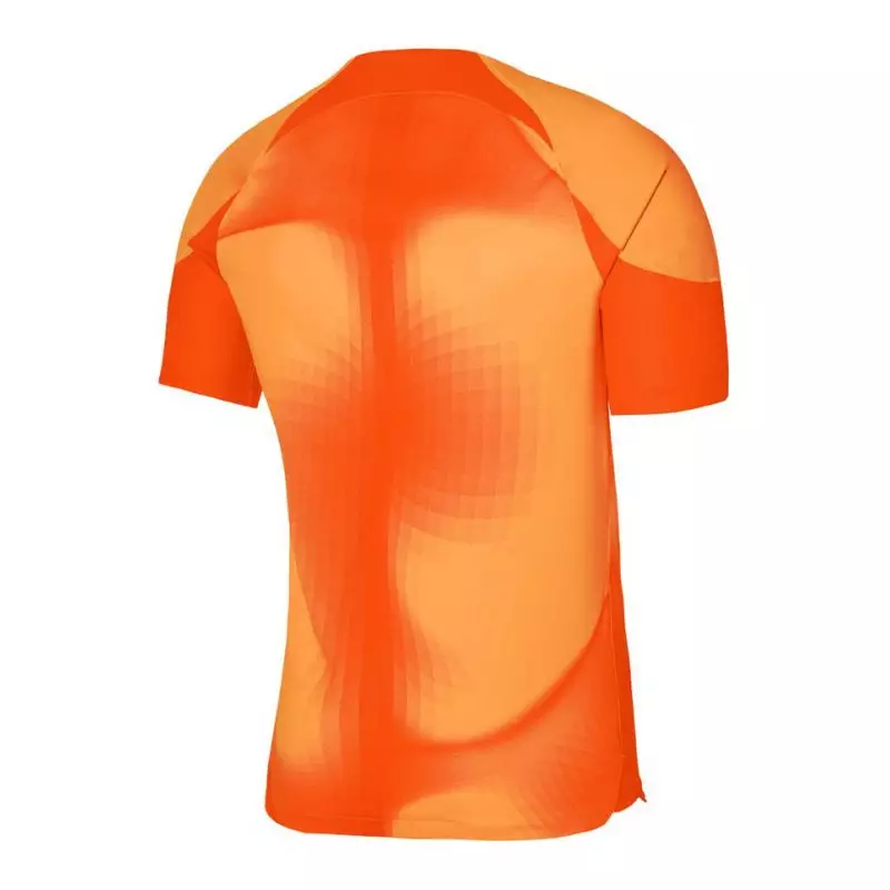 Nike Dri-FIT ADV Gardien 4 M DH7760-819 goalkeeper jersey