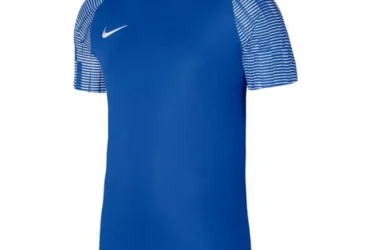 Nike Dri-Fit Academy SS M DH8031-463 T-shirt