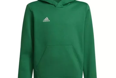 Sweatshirt adidas Entrada 22 Hoody Y Jr HI2143