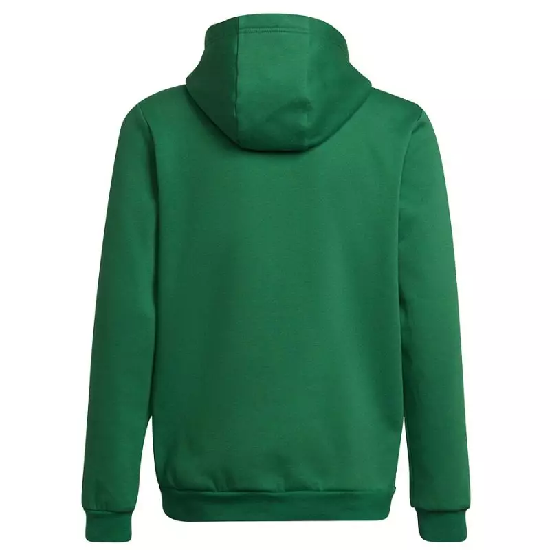 Sweatshirt adidas Entrada 22 Hoody Y Jr HI2143