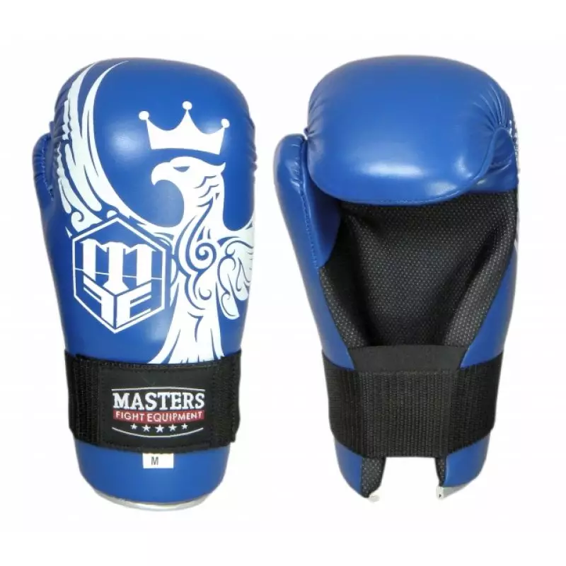 Boxing gloves Masters Rose-Eagle 012135-02M