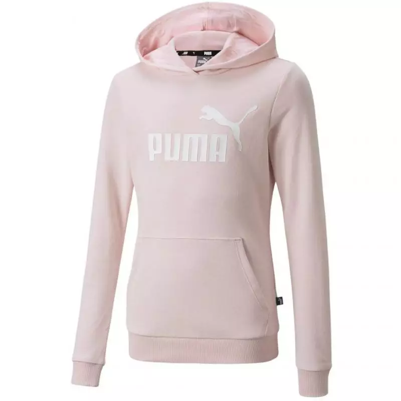 Puma ESS Logo Hoodie TR Jr 587030 16