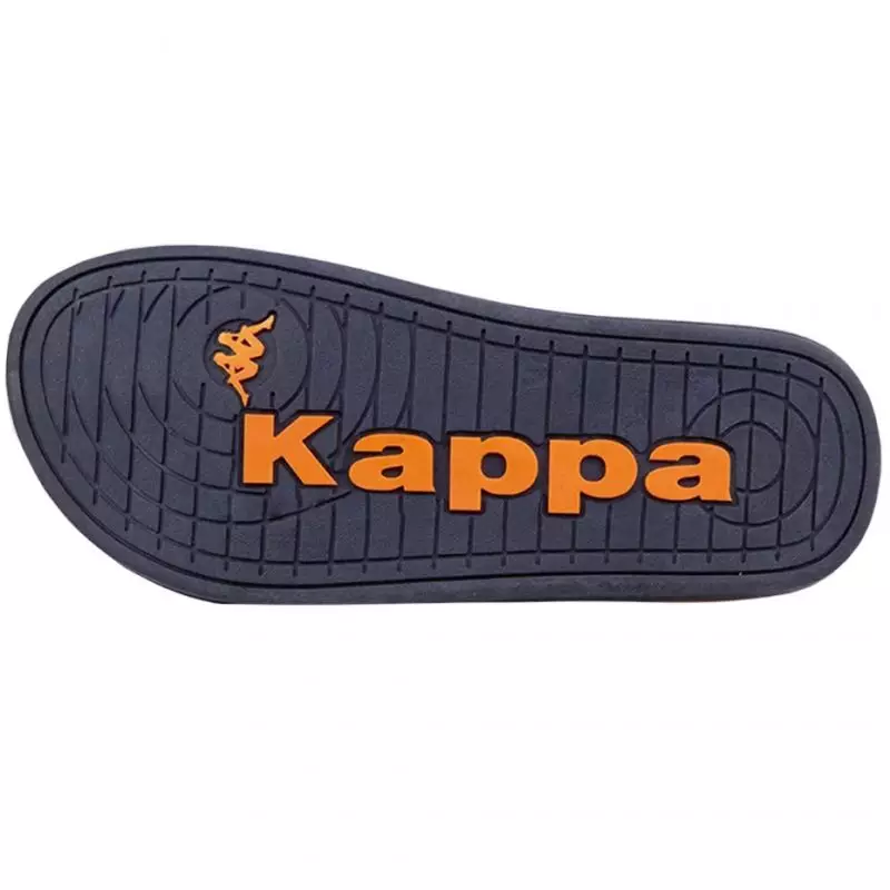 Kappa Ley M 243133M 6744 flip-flops