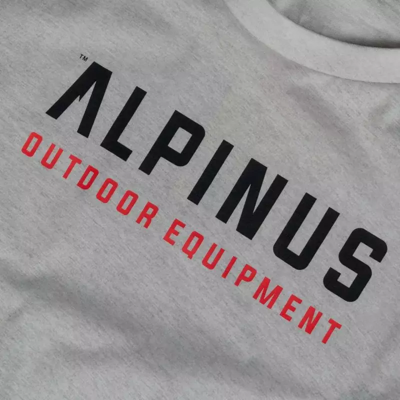 Alpinus Chiavenna gray T-shirt W BR43946