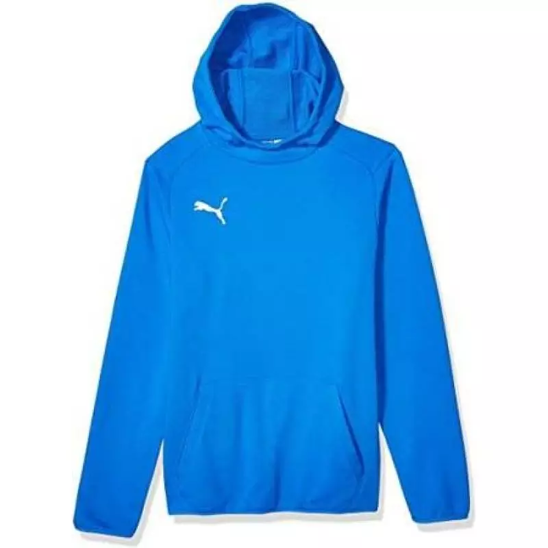 Sweatshirt Puma Jr 655636 02