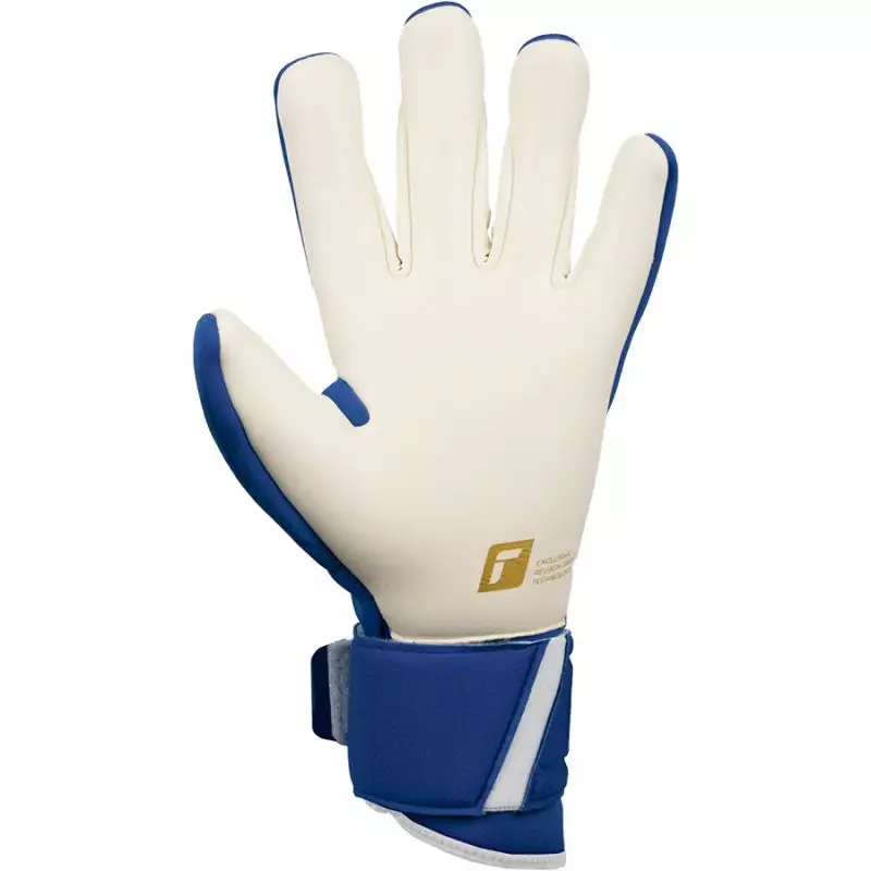 Goalkeeper gloves Reusch Arrow Gold XM 52 70 908 4026