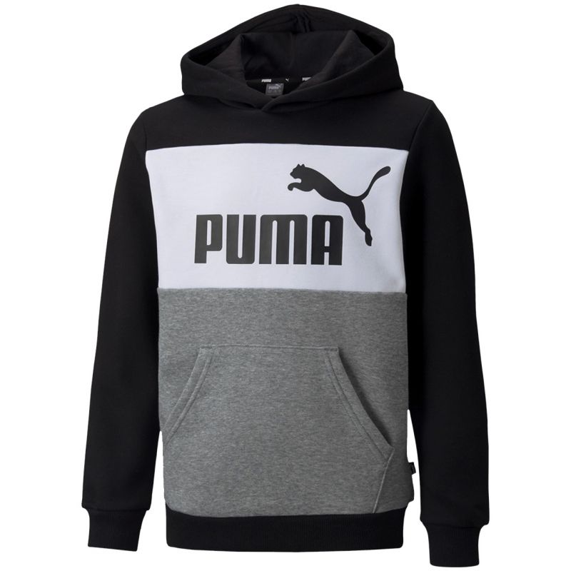 Sweatshirt Puma Ess Block Hoodie FL B Jr 849081 01
