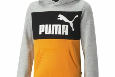 Sweatshirt Puma Ess Block Hoodie FL B Jr 849081 04