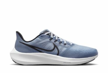 Running shoes Nike Pegasus 39 Extra Wide M DH4071-401