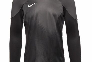 Nike Gardien IV Goalkeeper JSY M DH7967 060 goalkeeper shirt