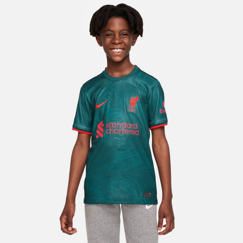 Nike Liverpool FC 2022/23 Stadium Away Jr Shirt DJ7860 377