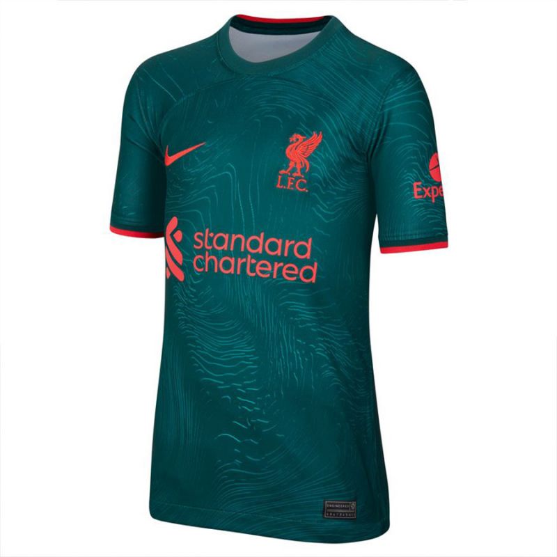 Nike Liverpool FC 2022/23 Stadium Away Jr Shirt DJ7860 377