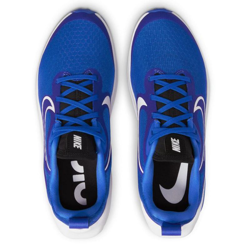 Running shoes Nike Air Zoom Arcadia 2 Jr DM8491 400