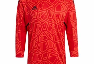 Adidas Condivo 22 Long Sleeve M H21237 goalkeeper shirt