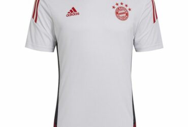 Adidas FC Bayern Training M HB0621 jersey