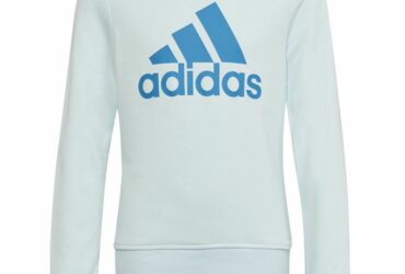 Sweatshirt adidas Big Logo Swt Jr HM8707