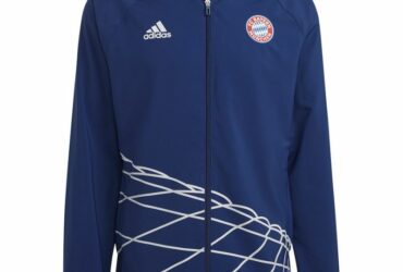 Jacket adidas FC Bayern GR WB M HT8828