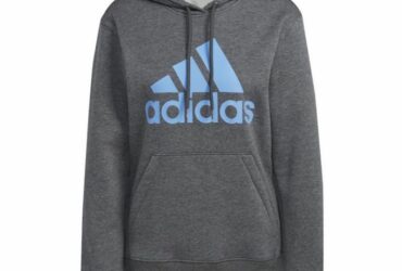 Sweatshirt adidas Big Logo FL R HD W IC9845