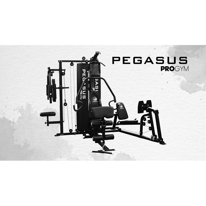 Πολυόργανο Γυμναστικής Pro Gym 3 Θέσεων Pegasus MT‑18504‑ABC