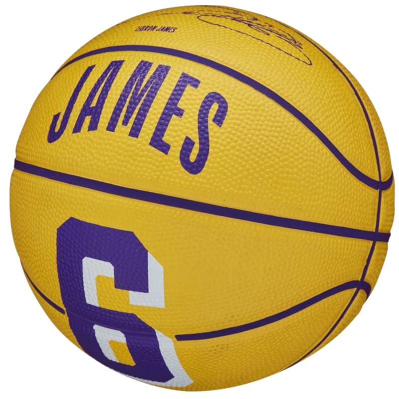 Basketball ball Wilson NBA Player Icon LeBron James Mini Ball WZ4007201XB