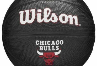 Ball Wilson Team Tribute Chicago Bulls Mini Ball Jr. WZ4017602XB
