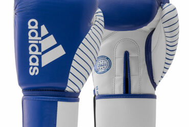 Πυγμαχικά Γάντια adidas WAKO Kickboxing – adiKBWKF200